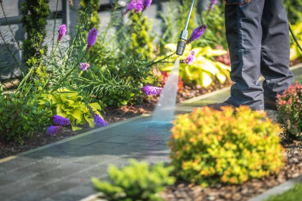 Best Parking Lot and Garage Cleaning  in Lewistown, PA